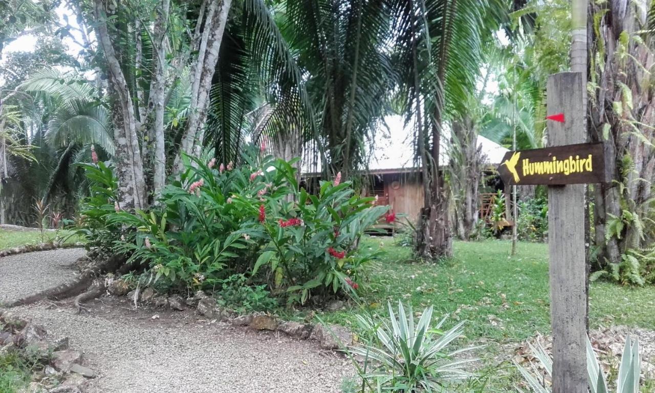 Sun Creek Lodge Punta Gorda Exterior photo