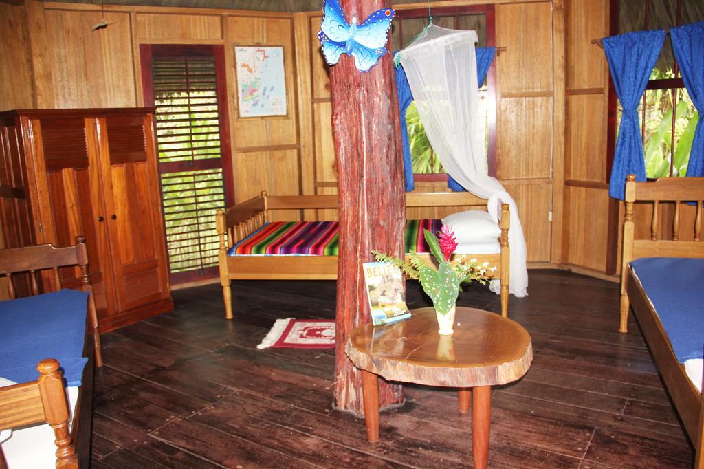Sun Creek Lodge Punta Gorda Room photo